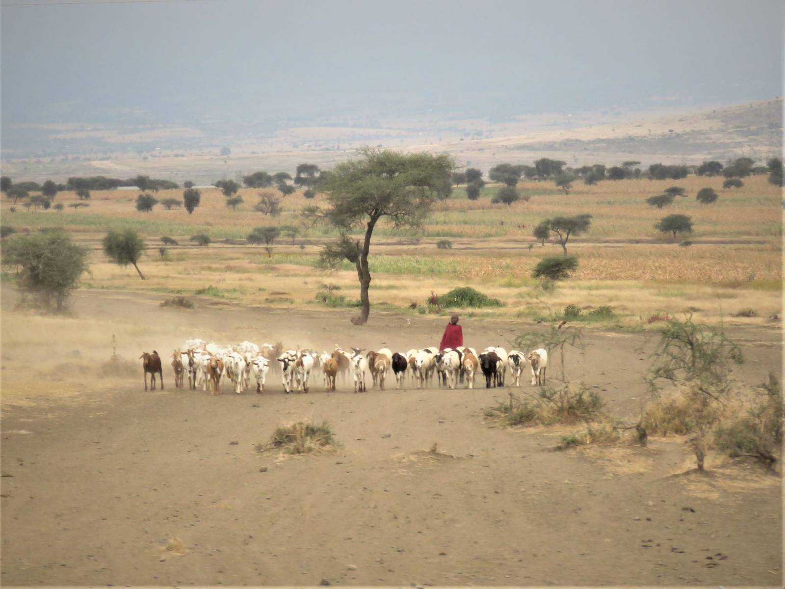 The Maasai people of the Ngorongoro Crater - Travel with me