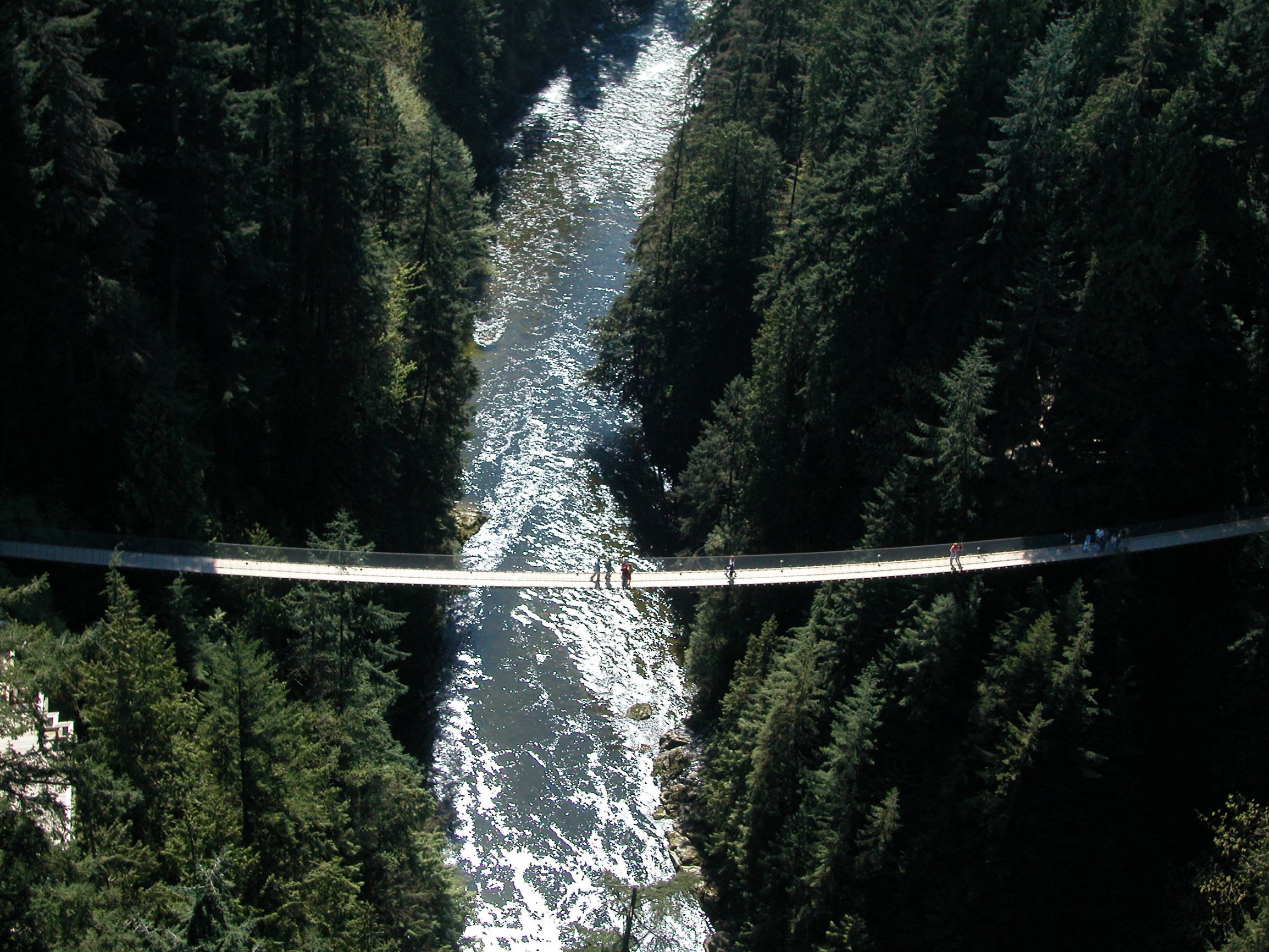 Capilano Suspension Bridge Park