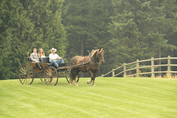 Quail Run Ranch Wedding