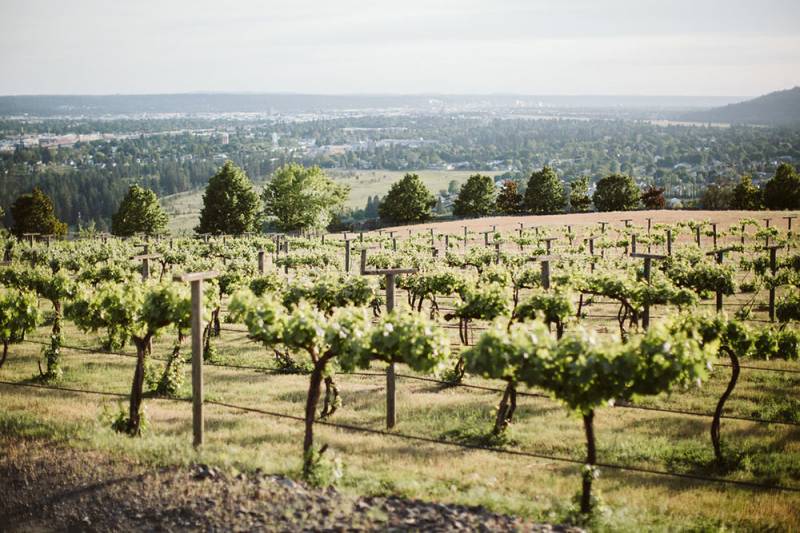 Stunning Winery Wedding In Spokane Spokane Real Wedding