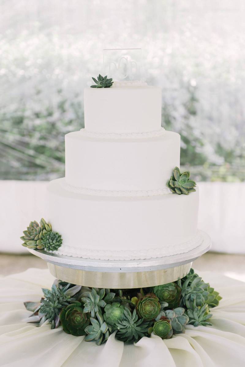 succulent wedding cake