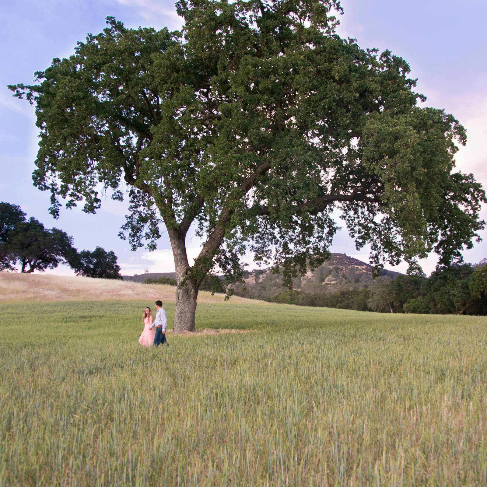 Wedding Shoot Under Oak Tree During Sunset | The Wedding Standard