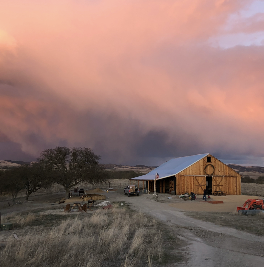 Biddle Ranch Vineyard Slo Wedding Venue The Wedding Standard