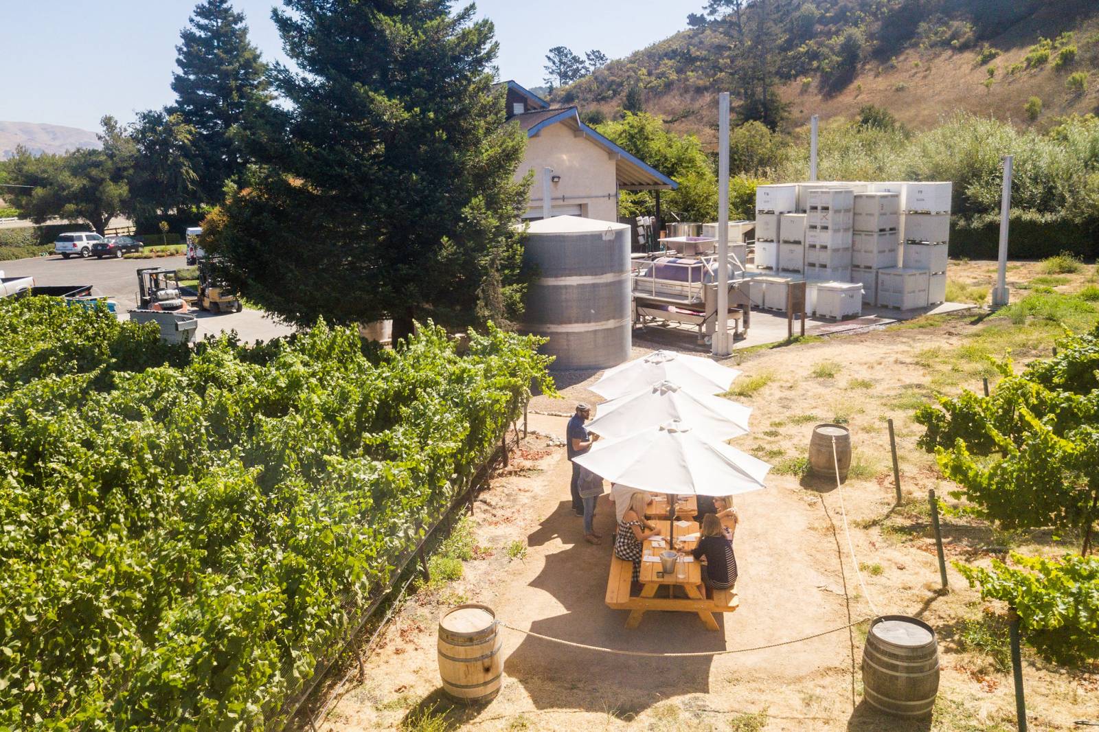 San Luis Obispo Edna Valley Wineries Venue for Wedding