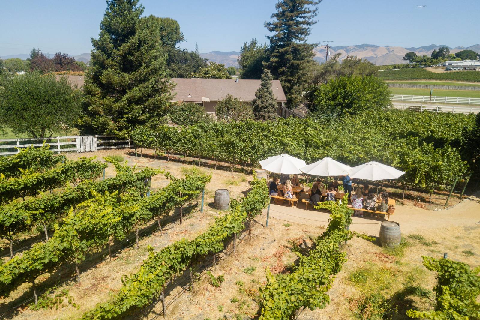 San Luis Obispo Edna Valley Wineries Venue for Wedding