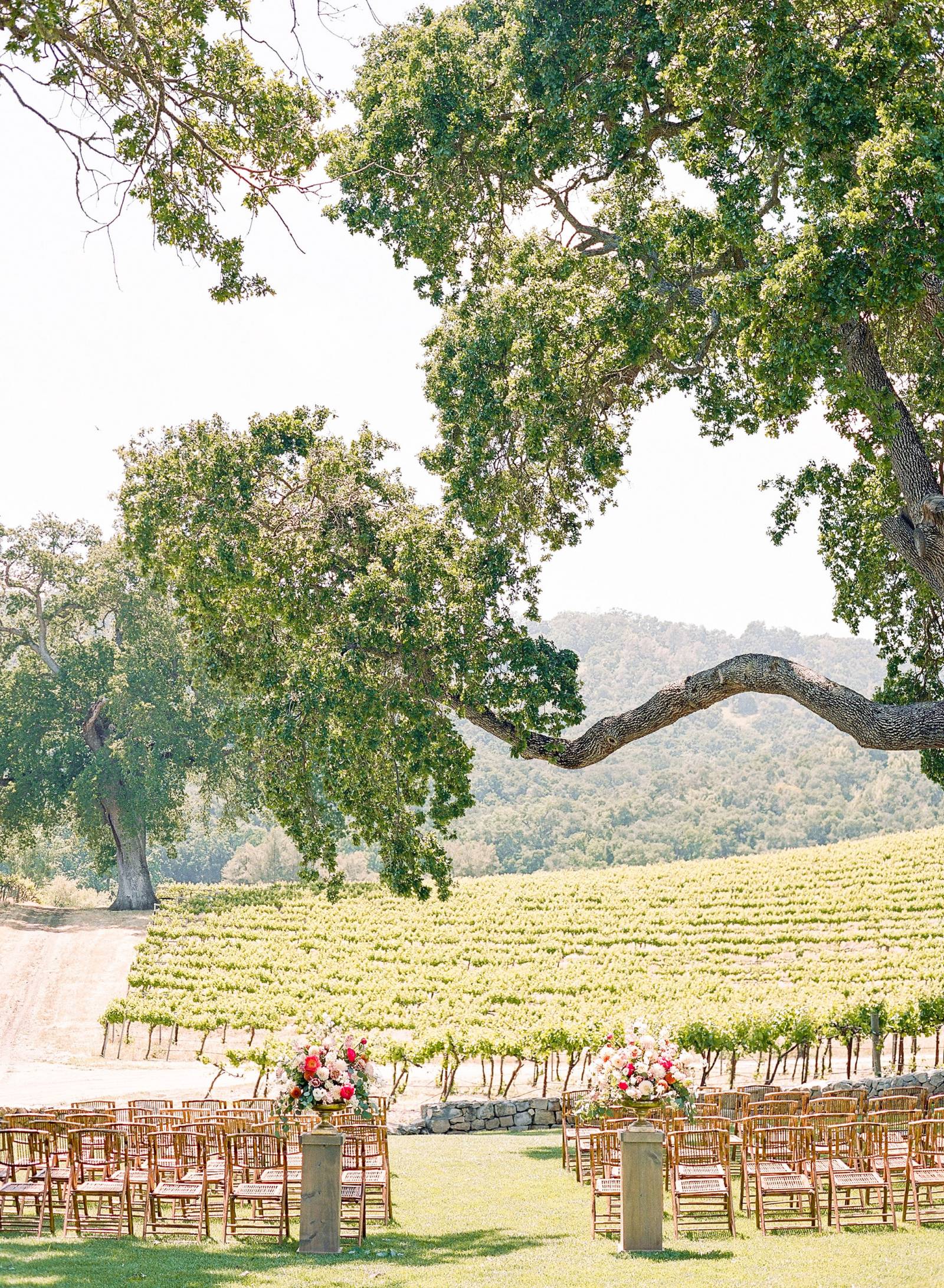 Intimate Colorful Wedding At Hammersky Vineyards Tws 3825