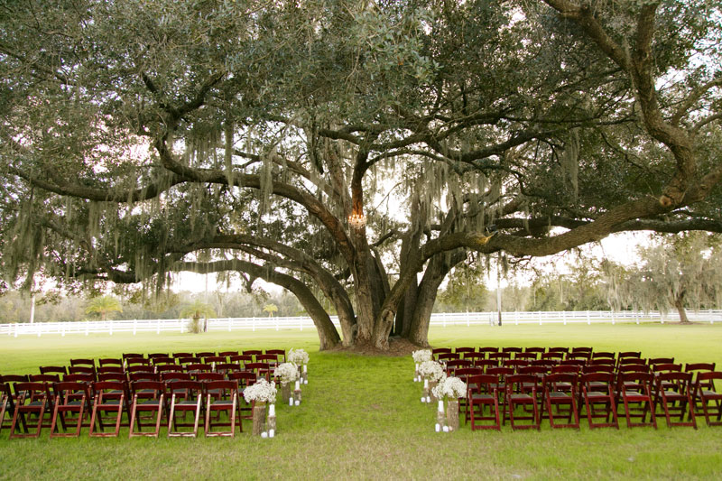  Central Florida  Barn Wedding  Venues 