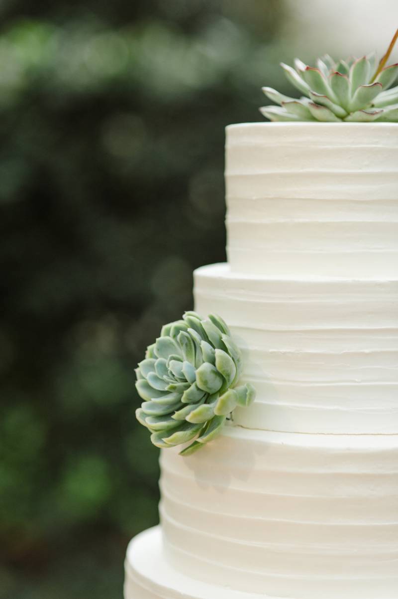 White buttercream wedding cake with succulents
