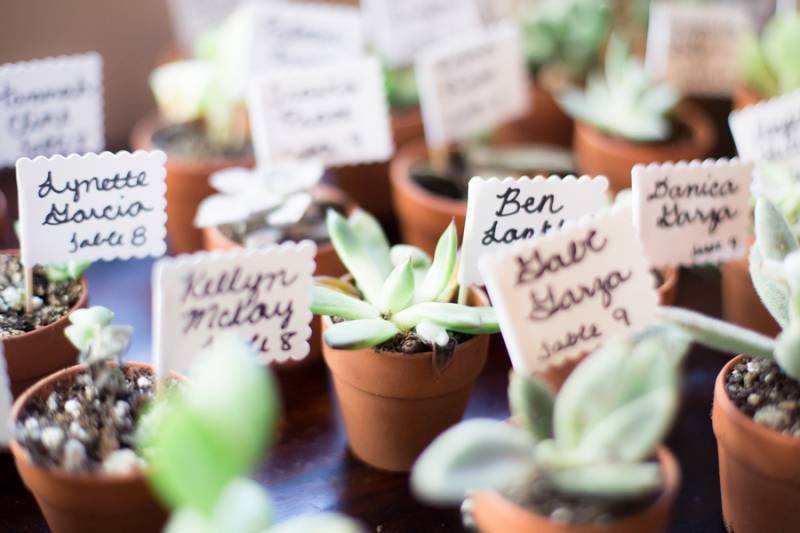 Succulent table assignments/favors