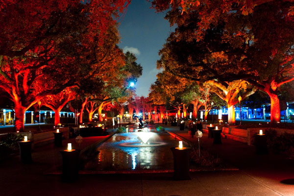 Houston Wedding Venues - Houston Zoo