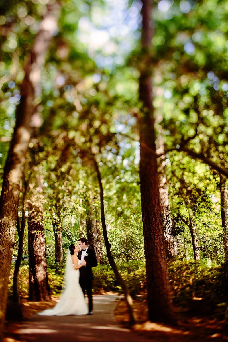 Bride and Groom