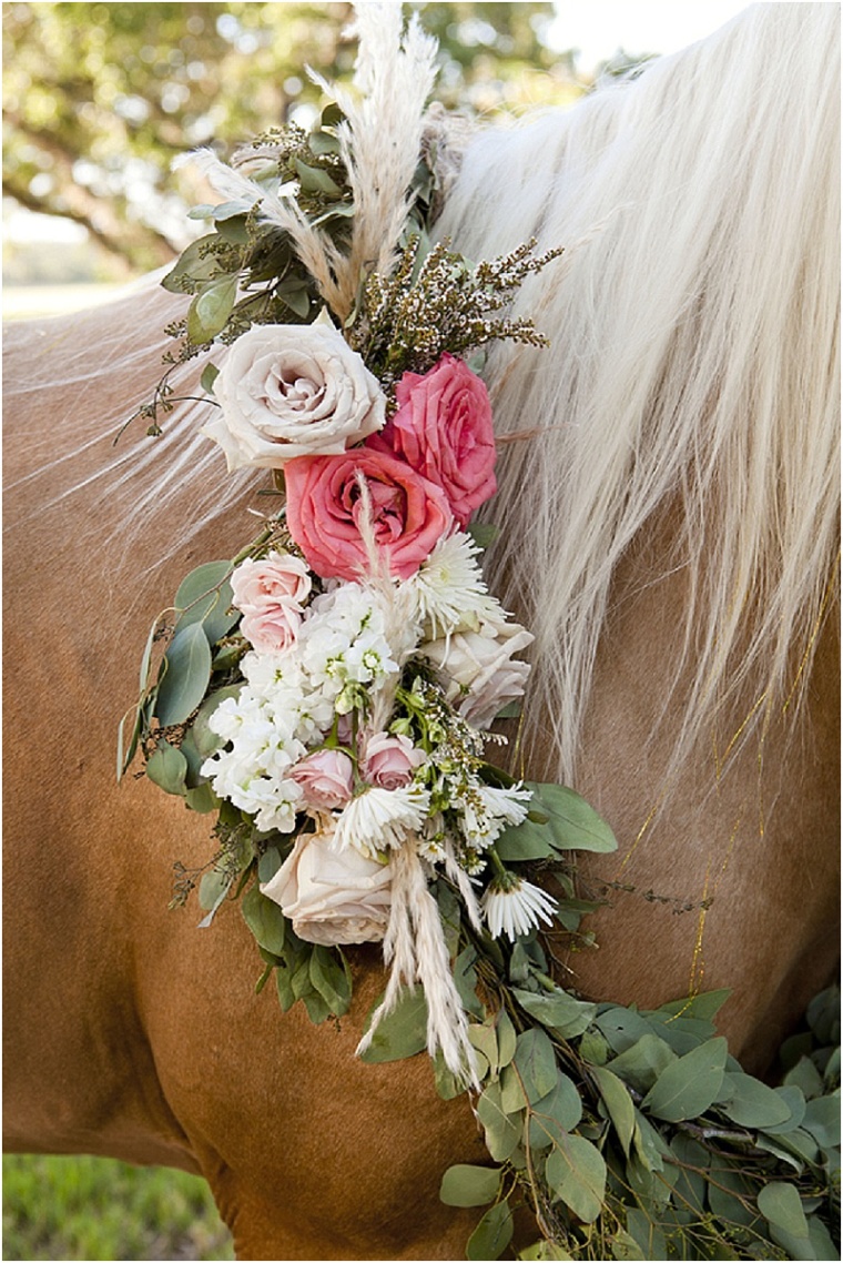 Wedding Horse