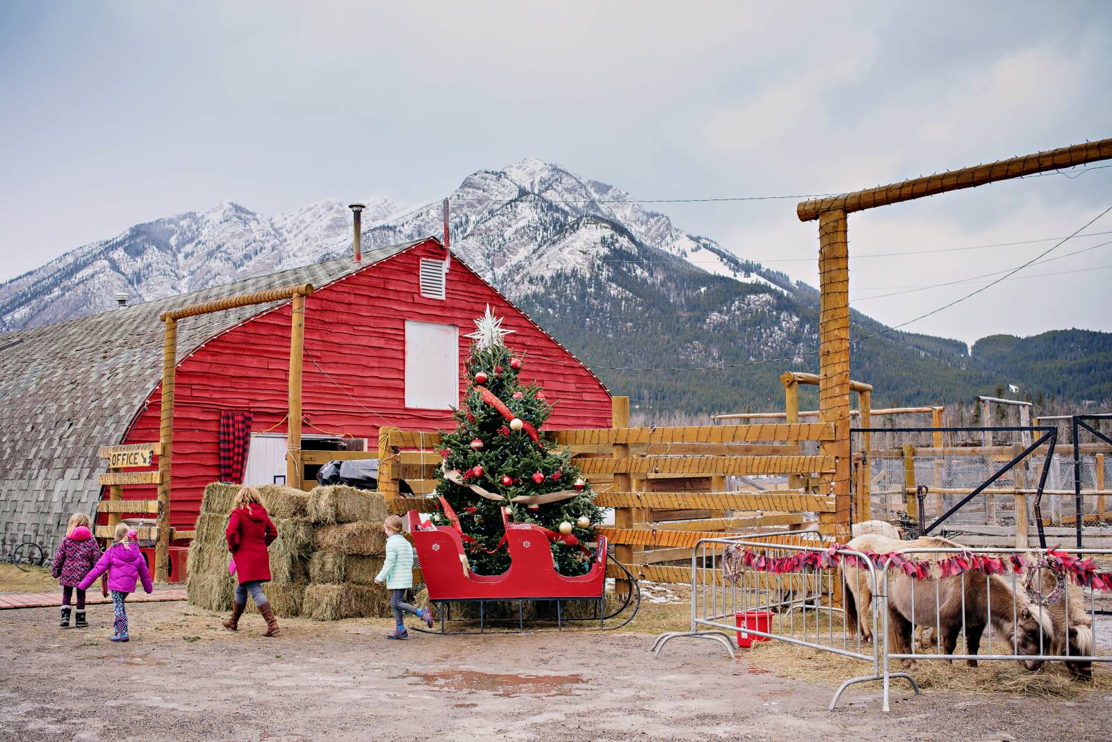 Banff Christmas Market | Banff Personal