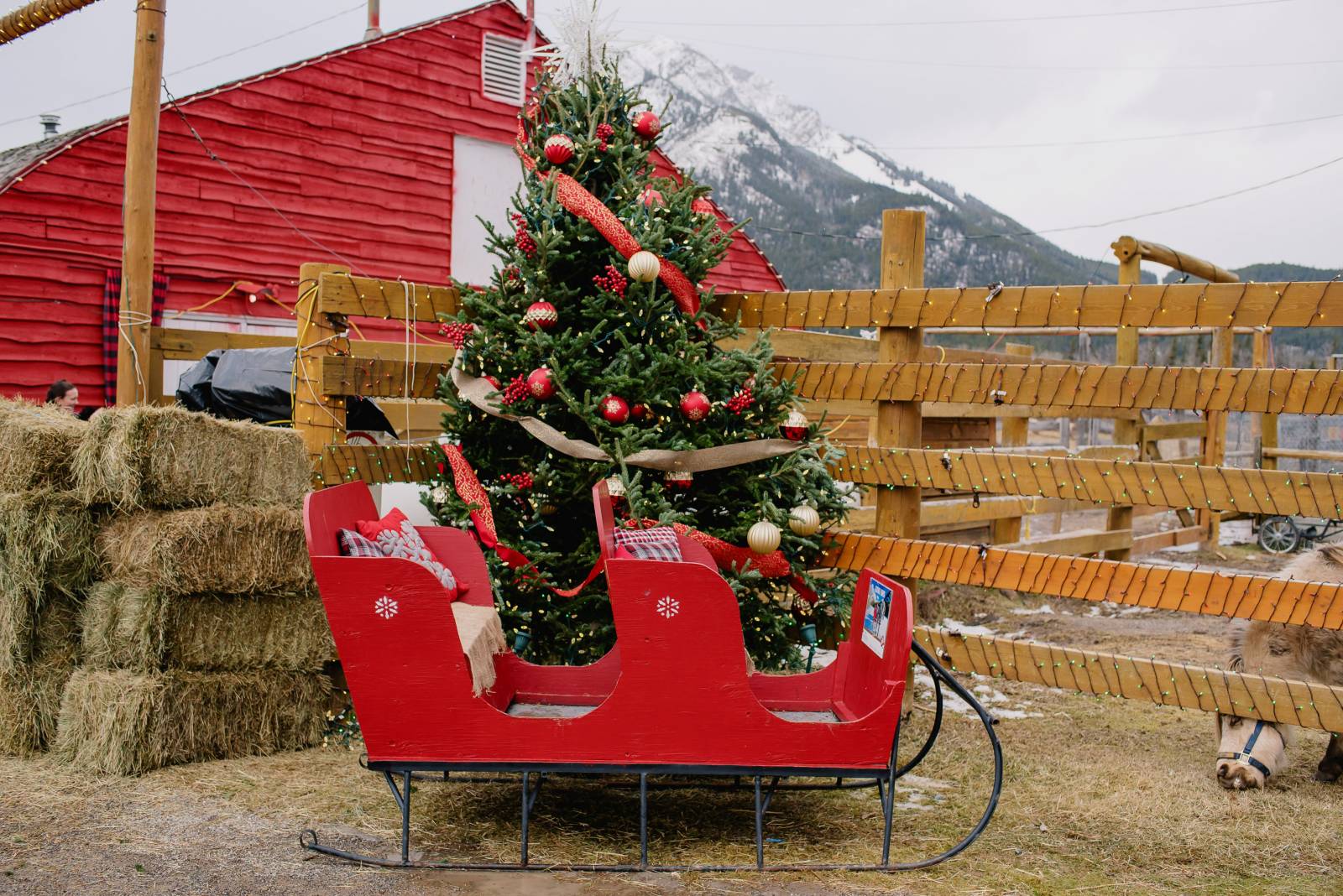 Banff Christmas Market | Banff Personal | Item 4