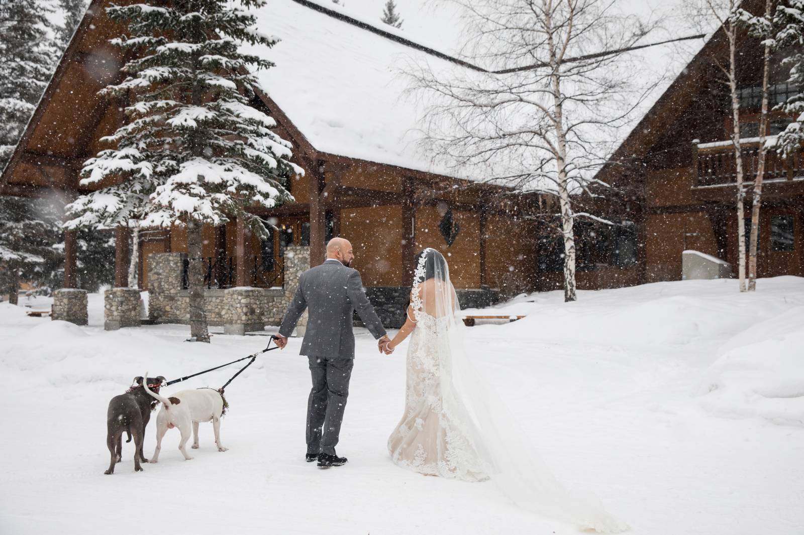 Bride and Groom Portraits, Wedding Poses Ideas, Wedding Pose inspiration, Winter wedding, Buffalo Mo