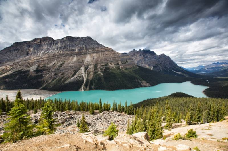 Wedding Ceremony in the stunning location of Peyto Lake, Banff National ...